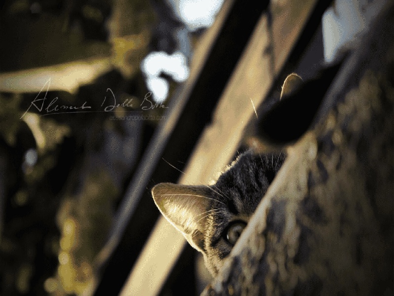 非平衡试管压强哪家医院试管好点山亭试管报销